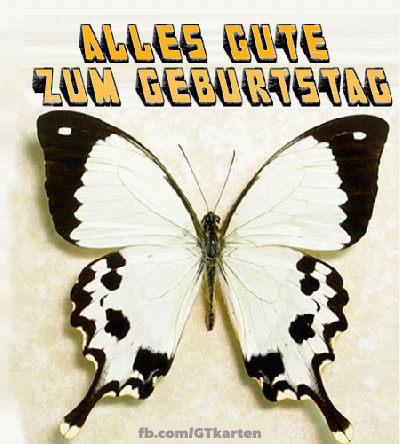 ALLES GUTE ZUM GEBURTSTAG