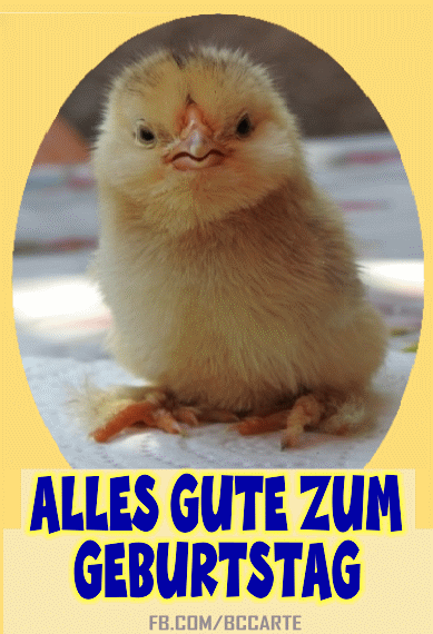 Alles Gute Zum Geburtstag