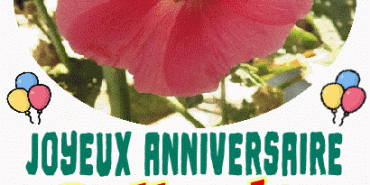 Joyeux Anniversaire Bellanita gif