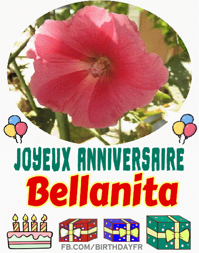 Joyeux Anniversaire Bellanita gif