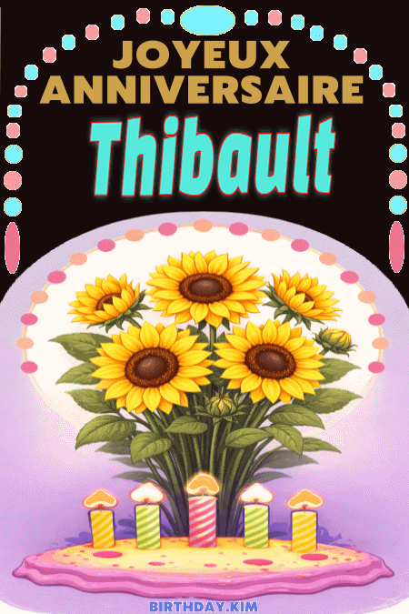 Joyeux Anniversaire Thibault Gif