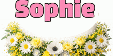 Joyeux Anniversaire Sophie gif