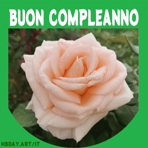 compleanno rosa gif