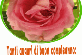 auguri rosa compleanno gif