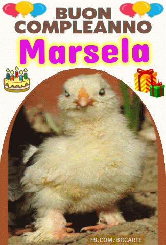 Buon Compleanno Marsela gif
