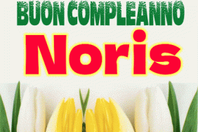 Buon Compleanno Noris gif
