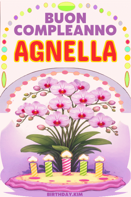 Buon Compleanno Agnella Gif