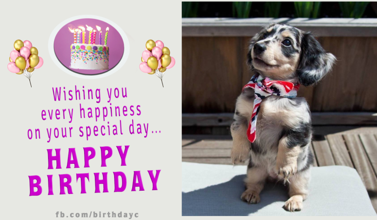 Happy Birthday,Cute dog,birthday wishes card