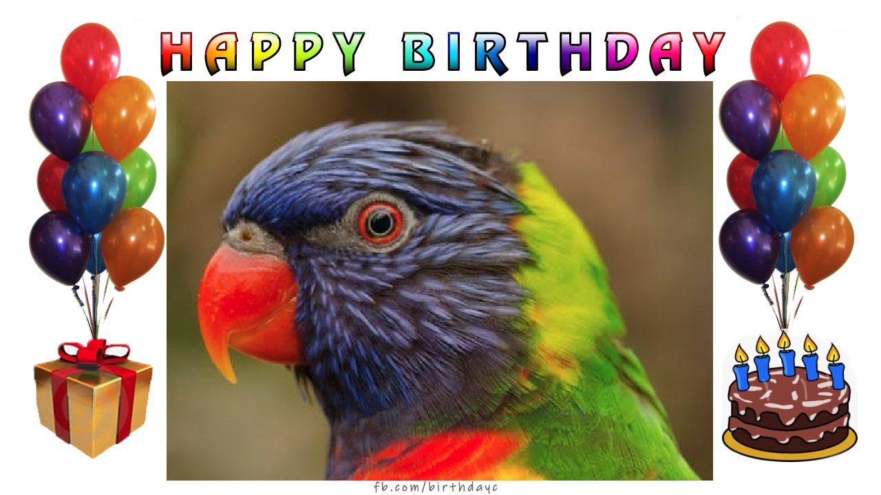 happy-birthday-wishes-card-1043