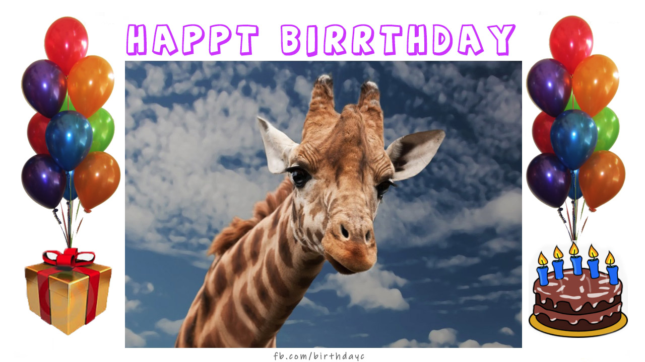 happy-birthday-wishes-card-1044