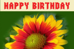hbday-flower-gif-1412
