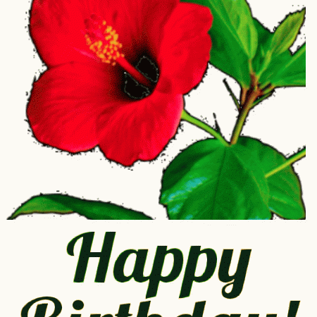 Red flower birthday gif