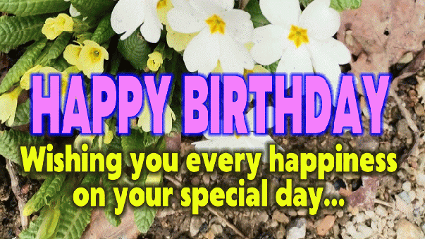 Happy Birthday