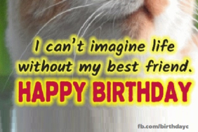 Happy Birthday friend