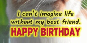 Happy Birthday friend