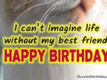Happy Birthday friend