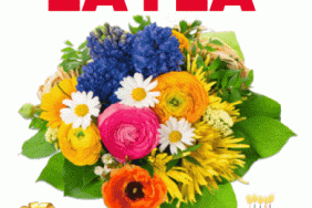 Happy Birthday Layla