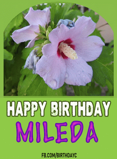 Happy Birthday Mileda