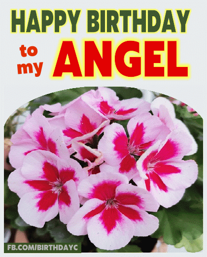 happy birthday angel