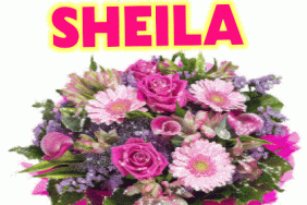 Happy Birthday Sheila