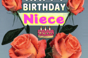 Happy Birthday Niece gif