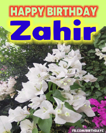 Happy Birthday Zahir GIF