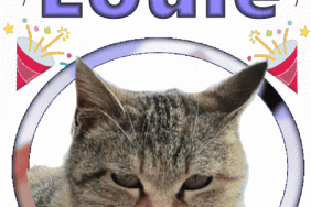 Happy Birthday Loule gif