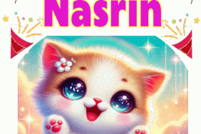 happy birthday Nasrin gif