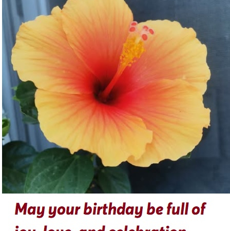 Beautiful flowery birthday celebration picture message