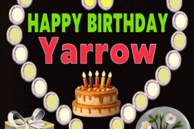 Happy Birthday Yarrow GIF