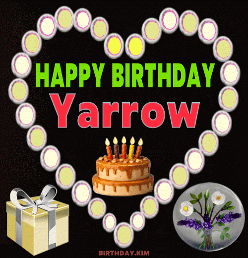 Happy Birthday Yarrow GIF