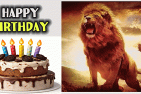 Happy Birthday Lion Gif