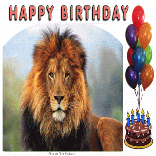 happy birthday lion gif