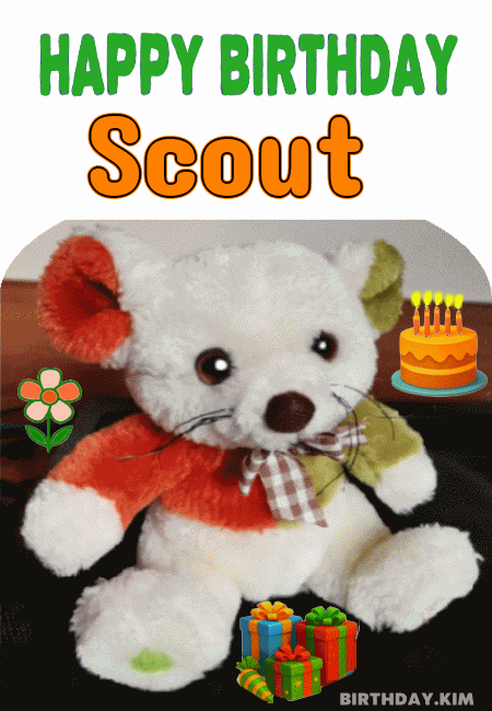 Happy Birthday Scout GIF