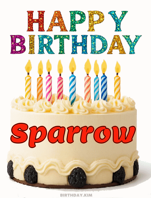Happy Birthday Sparrow GIF