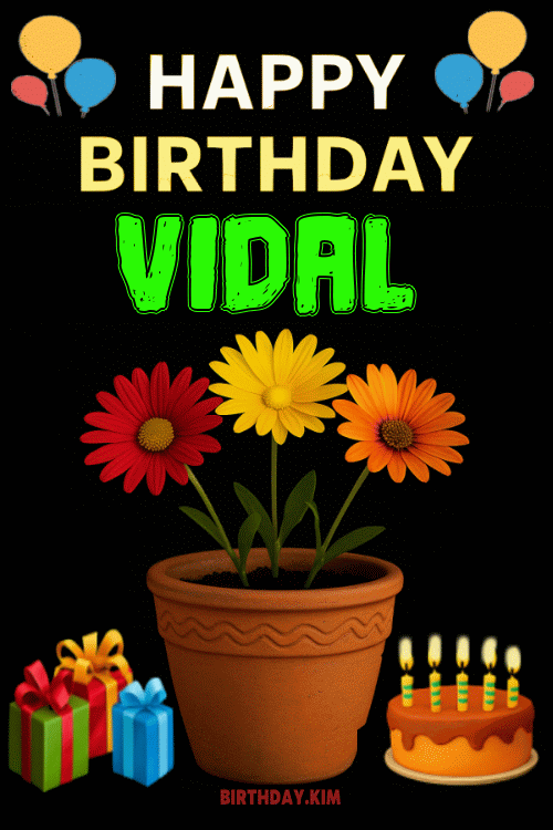Happy Birthday Vidal GIF