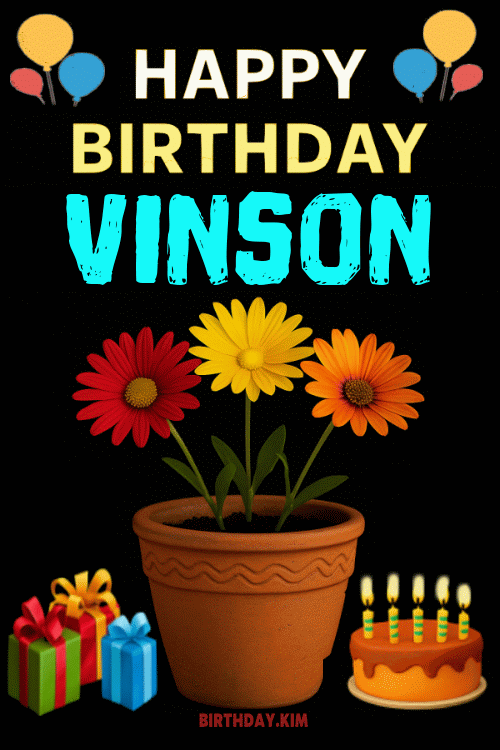 Happy Birthday Vinson GIF