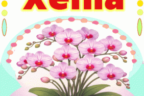 Happy Birthday Xenia gif