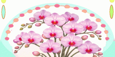 Happy Birthday Xenia gif